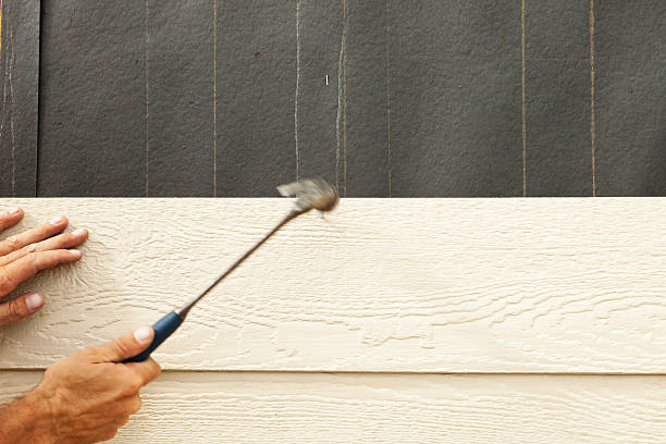Best Aluminum Siding Installation  in El Macero, CA